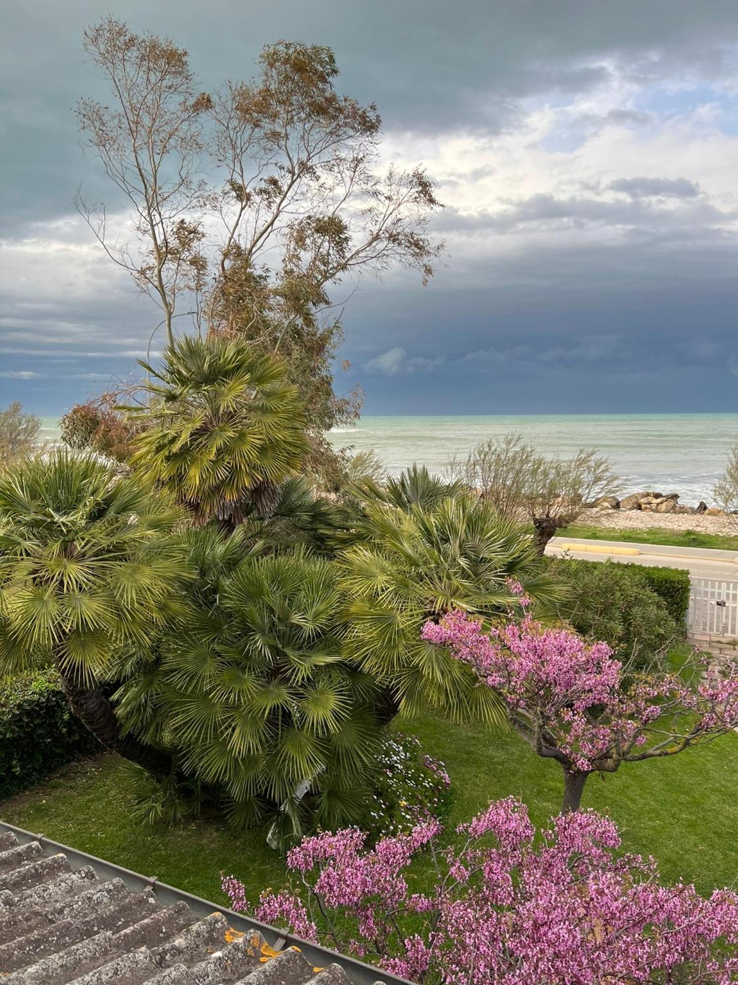 B&B I Versi Del Mare Roseto Degli Abruzzi Exterior photo